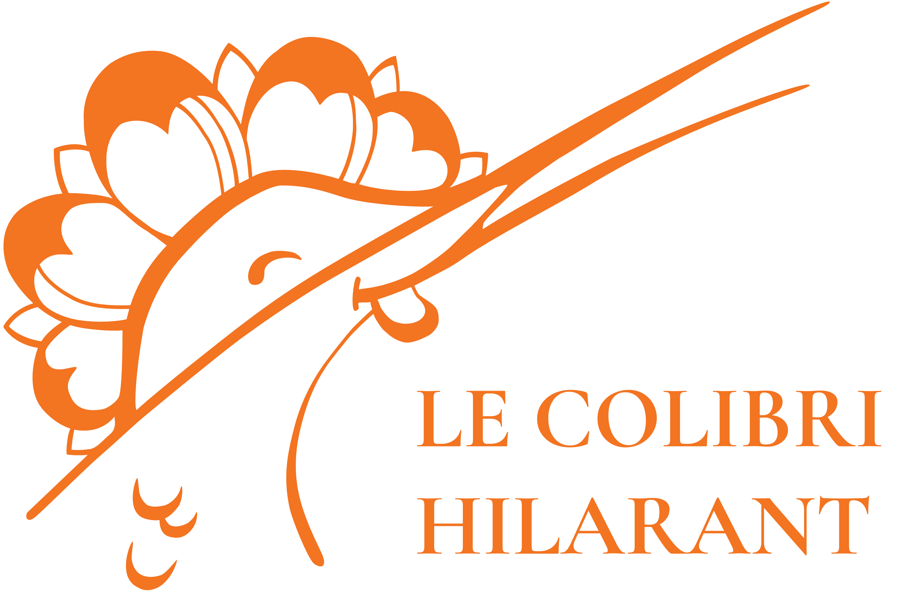 LE COLIBRI HILARANT